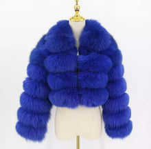 Load image into Gallery viewer, Pelliccia corta di volpe blu royal con colletto
